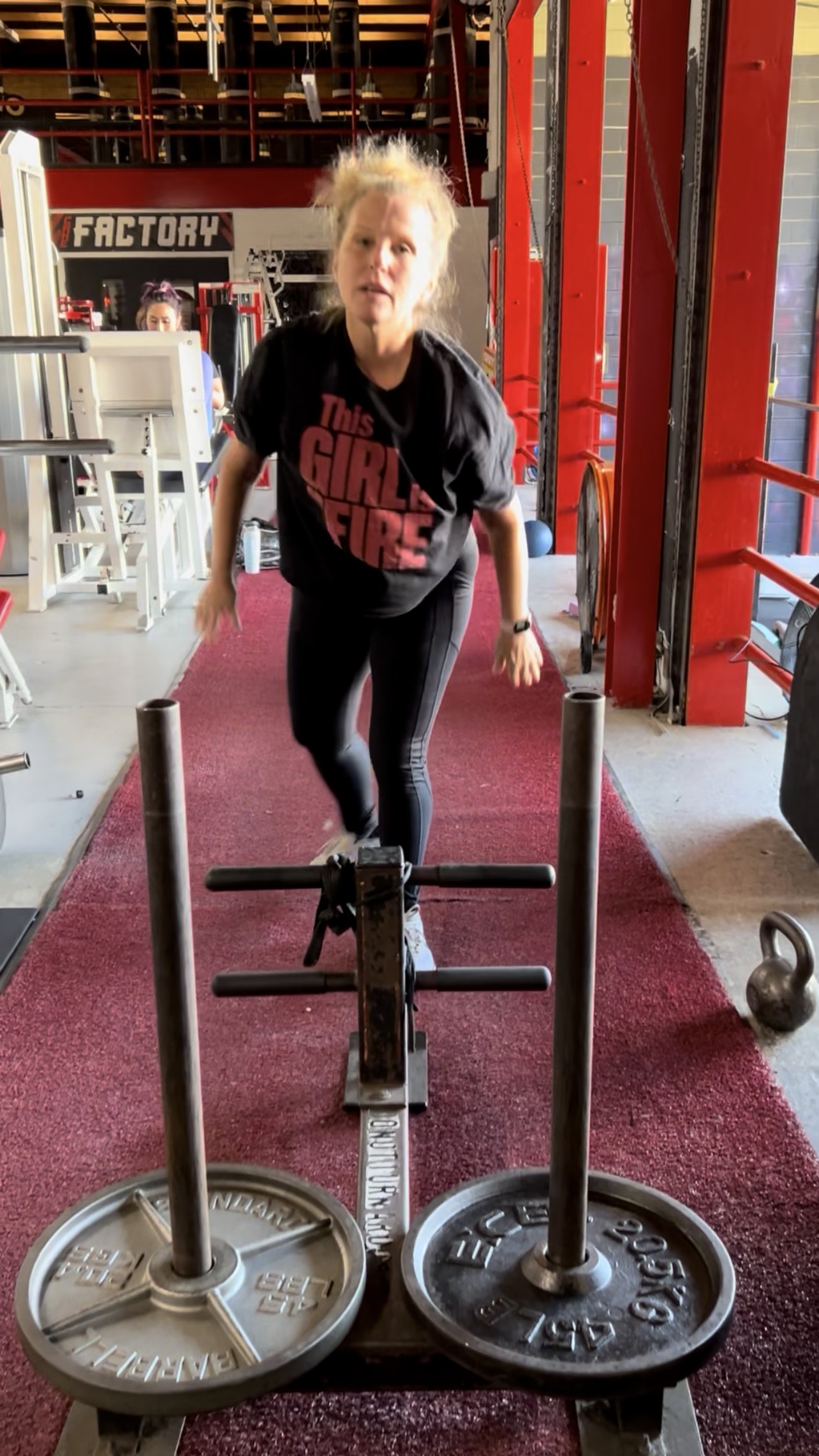 Gigi pushing a loaded sled